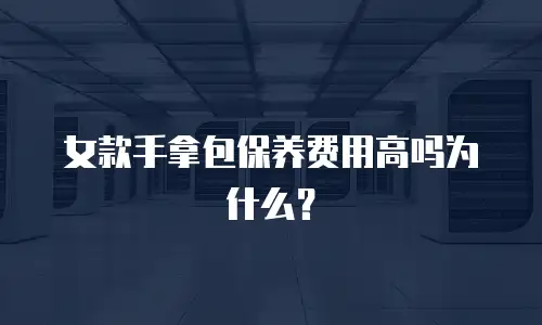 女款手拿包保养费用高吗为什么？