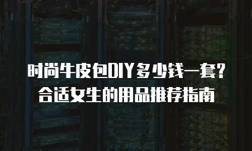 时尚牛皮包DIY多少钱一套？合适女生的用品推荐指南