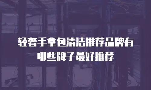 轻奢手拿包清洁推荐品牌有哪些牌子最好推荐