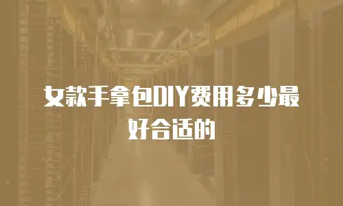 女款手拿包DIY费用多少最好合适的