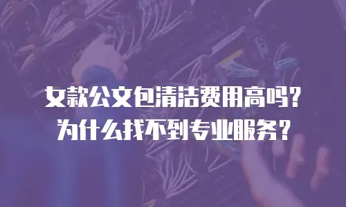 女款公文包清洁费用高吗？为什么找不到专业服务？