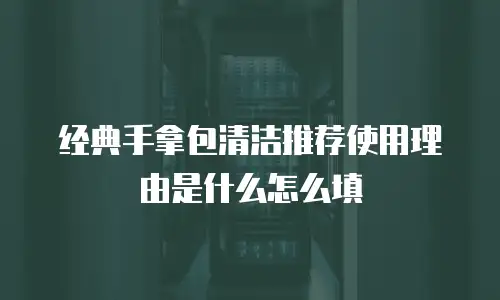 经典手拿包清洁推荐使用理由是什么怎么填