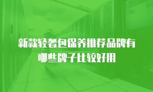新款轻奢包保养推荐品牌有哪些牌子比较好用