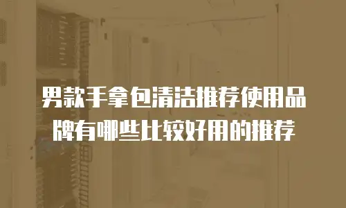 男款手拿包清洁推荐使用品牌有哪些比较好用的推荐