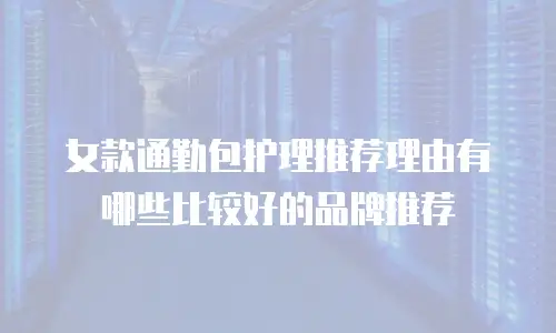 女款通勤包护理推荐理由有哪些比较好的品牌推荐