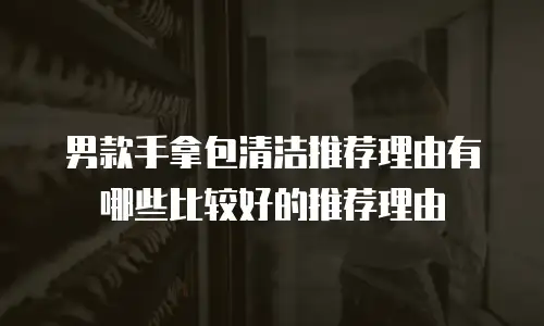 男款手拿包清洁推荐理由有哪些比较好的推荐理由