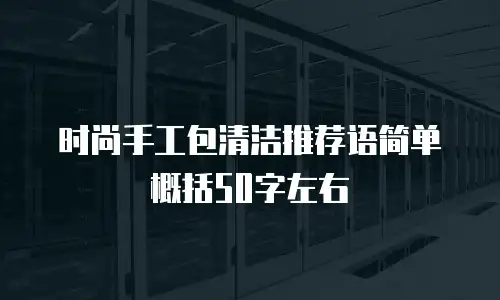 时尚手工包清洁推荐语简单概括50字左右