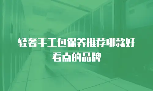 轻奢手工包保养推荐哪款好看点的品牌
