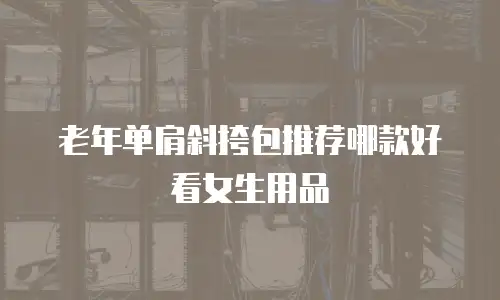 老年单肩斜挎包推荐哪款好看女生用品