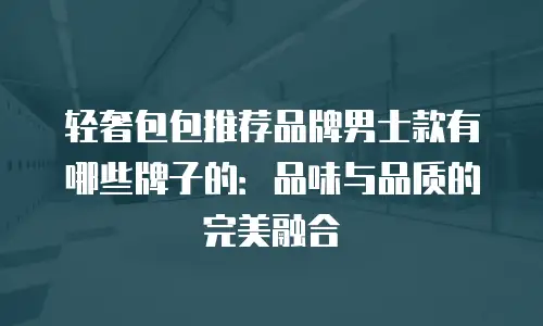 轻奢包包推荐品牌男士款有哪些牌子的：品味与品质的完美融合