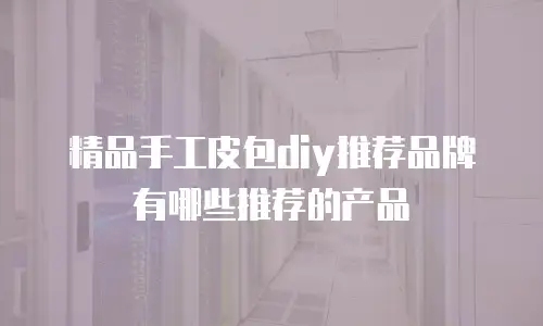精品手工皮包diy推荐品牌有哪些推荐的产品