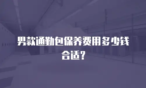 男款通勤包保养费用多少钱合适？