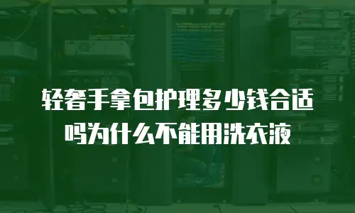 轻奢手拿包护理多少钱合适吗为什么不能用洗衣液