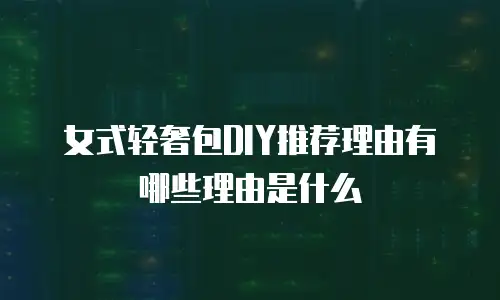 女式轻奢包DIY推荐理由有哪些理由是什么