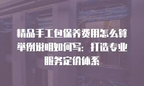 精品手工包保养费用怎么算举例说明如何写：打造专业服务定价体系