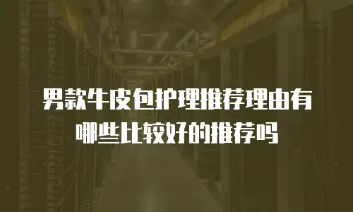 男款牛皮包护理推荐理由有哪些比较好的推荐吗