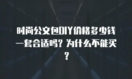 时尚公文包DIY价格多少钱一套合适吗？为什么不能买？