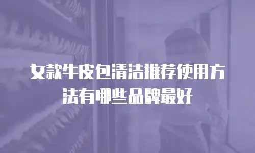 女款牛皮包清洁推荐使用方法有哪些品牌最好