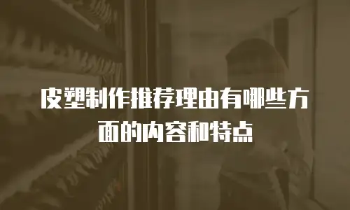 皮塑制作推荐理由有哪些方面的内容和特点