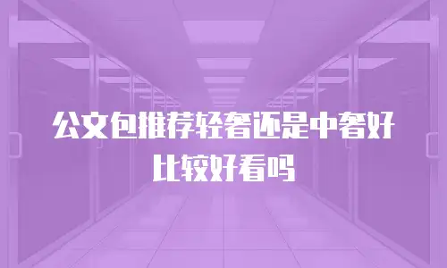 公文包推荐轻奢还是中奢好比较好看吗