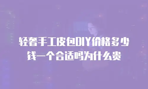轻奢手工皮包DIY价格多少钱一个合适吗为什么贵