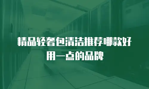 精品轻奢包清洁推荐哪款好用一点的品牌