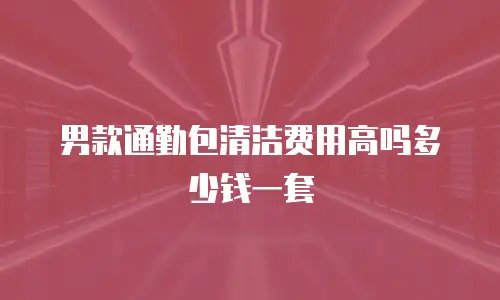 男款通勤包清洁费用高吗多少钱一套