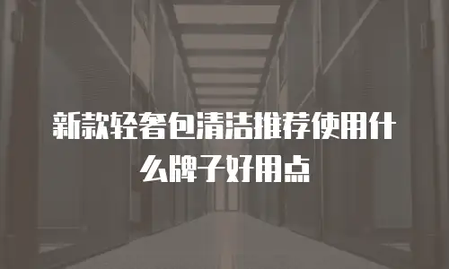 新款轻奢包清洁推荐使用什么牌子好用点