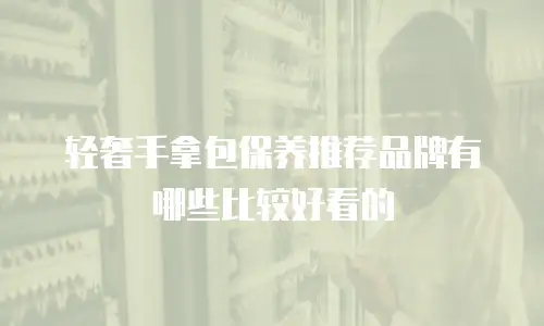 轻奢手拿包保养推荐品牌有哪些比较好看的