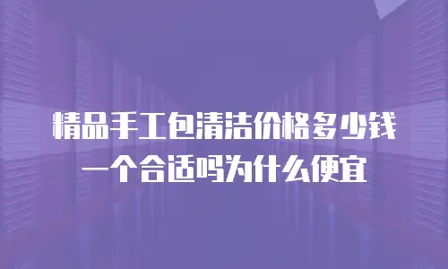 精品手工包清洁价格多少钱一个合适吗为什么便宜