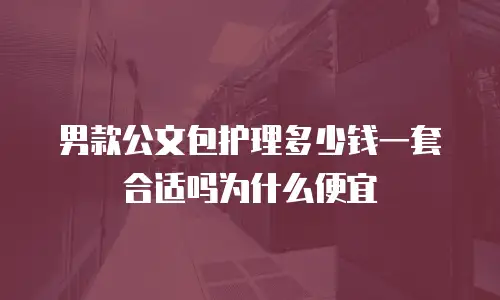 男款公文包护理多少钱一套合适吗为什么便宜