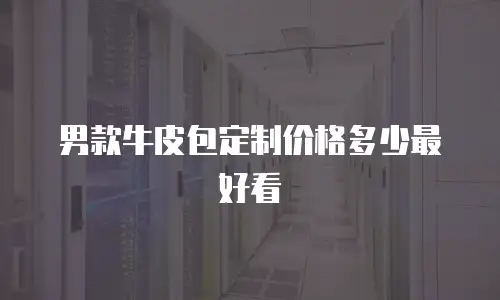 男款牛皮包定制价格多少最好看