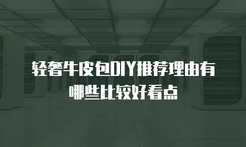 轻奢牛皮包DIY推荐理由有哪些比较好看点