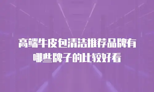 高端牛皮包清洁推荐品牌有哪些牌子的比较好看