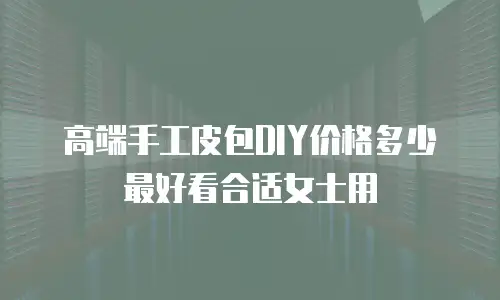 高端手工皮包DIY价格多少最好看合适女士用