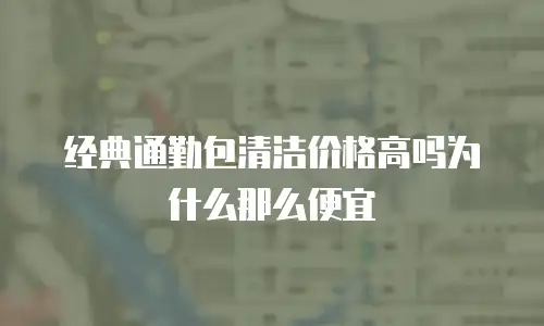 经典通勤包清洁价格高吗为什么那么便宜