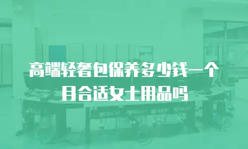 高端轻奢包保养多少钱一个月合适女士用品吗