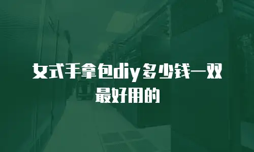 女式手拿包diy多少钱一双最好用的