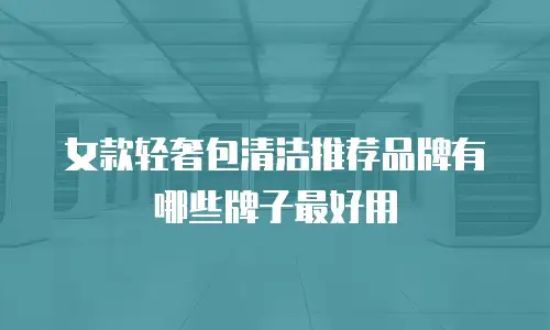 女款轻奢包清洁推荐品牌有哪些牌子最好用