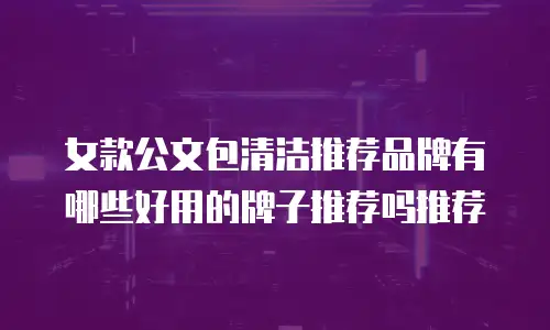 女款公文包清洁推荐品牌有哪些好用的牌子推荐吗推荐