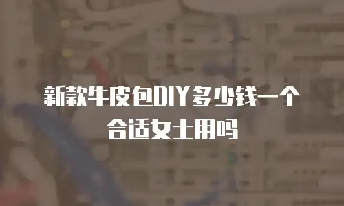 新款牛皮包DIY多少钱一个合适女士用吗