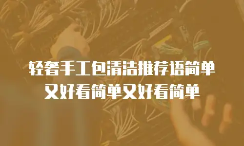 轻奢手工包清洁推荐语简单又好看简单又好看简单