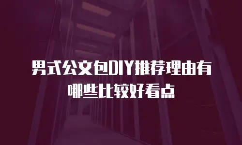 男式公文包DIY推荐理由有哪些比较好看点