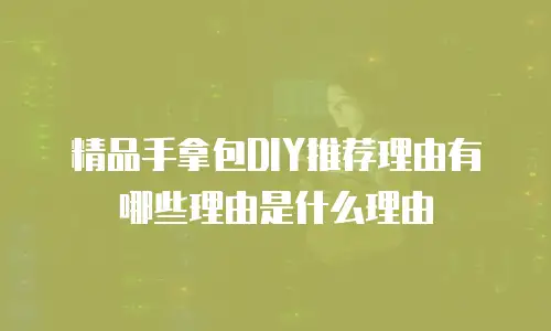精品手拿包DIY推荐理由有哪些理由是什么理由