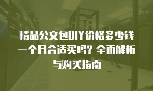 精品公文包DIY价格多少钱一个月合适买吗？全面解析与购买指南