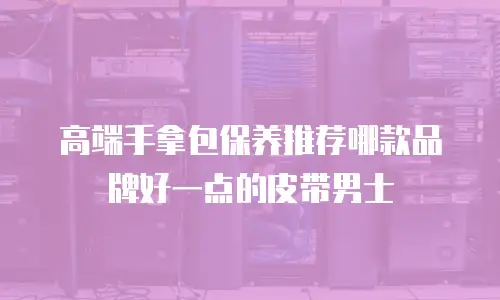 高端手拿包保养推荐哪款品牌好一点的皮带男士