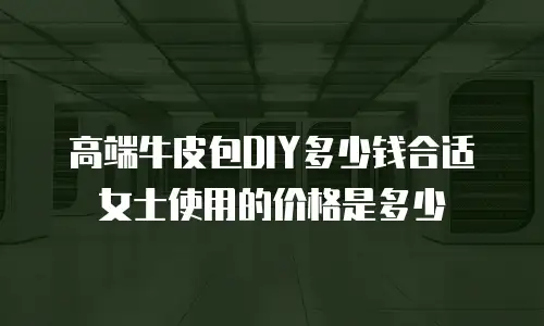 高端牛皮包DIY多少钱合适女士使用的价格是多少