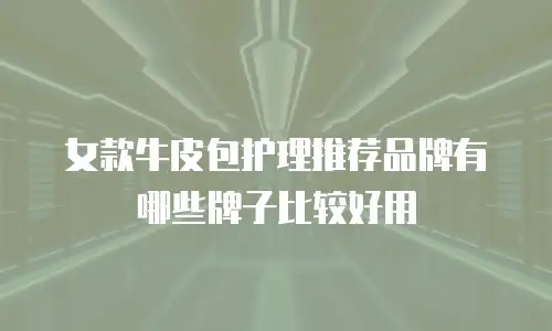 女款牛皮包护理推荐品牌有哪些牌子比较好用