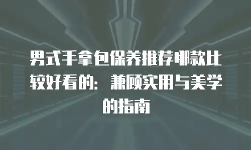 男式手拿包保养推荐哪款比较好看的：兼顾实用与美学的指南