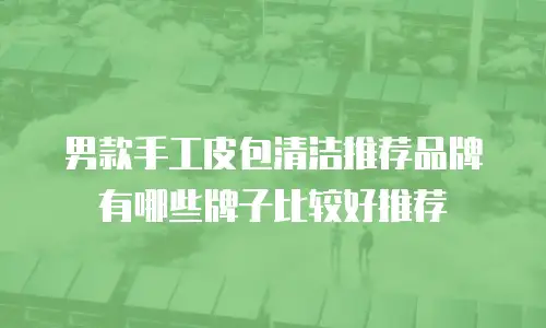 男款手工皮包清洁推荐品牌有哪些牌子比较好推荐